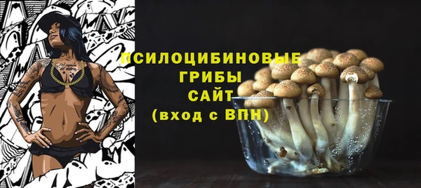 спиды Новодвинск