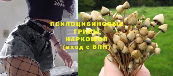 jwh Аркадак